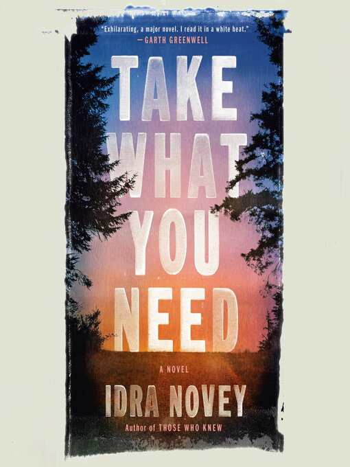 Title details for Take What You Need by Idra Novey - Available